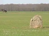 Menhir des Renards
