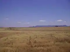 Paysage de La Serena (es).