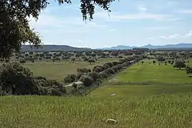 Paysage de La Siberia (es).