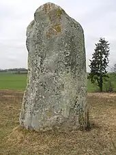Menhir dit la Pierre-Fitte