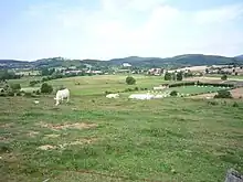 Vue de la plaine des Bataillouses