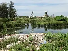 Déchets au bord du lac