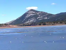Lac des Arcs (Alberta)