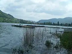 Ancienne commune du Pin.