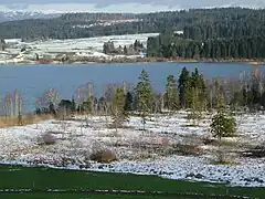 Vue du lac de Remoray et de la tourbière du Crossat