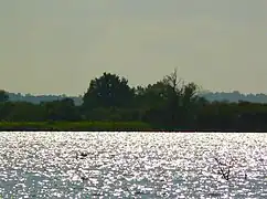Vue du lac sous le soleil, au second plan la rive boisée.