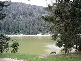 Image illustrative de l’article Lac Vert (Vosges)
