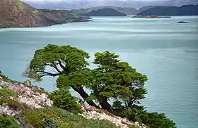 Image illustrative de l’article Lac Nordenskjöld