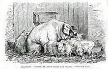 Dessin d'Auguste Lançon paru dans L'exposition universelle illustrée sous la signature A. Lanson en 1867