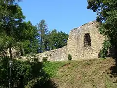 Ruines du château