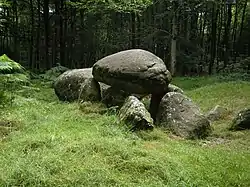Forêt de Fougères - Landéan