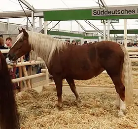 Trait allemand du Sud au Landwirtschaftliches Hauptfest 2010