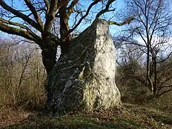 Le grand menhir des Grées en 2015.