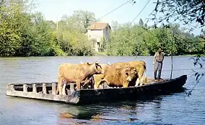 Le bac de Saint-Cricq-du-Gave en pays d'Orthe