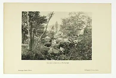 Le Bois d’Amour à Pontaven - Charles Géniaux, Géniaux Frères.