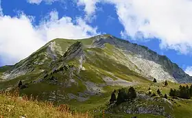 Vue de la face occidentale du mont Charvin depuis l'Aulp de Marlens.
