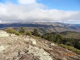 Mont Lozère vu depuis le signal de Ventalon.