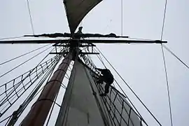 Gabier sur les haubans du Renard (Cotre à hunier).