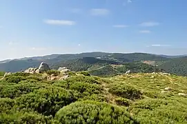 Le serre de Champ Maux (ouest).