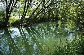 Le Suran à Broissia (Jura)
