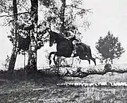 Image illustrative de l’article Daniel Gillois