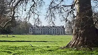Château de Marmousse et un arbre centenaire