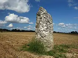 Image illustrative de l’article Menhir de la Haute-Pierre