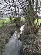 Près de la Nocterie.