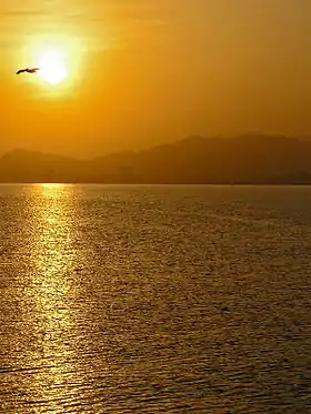 Diego Bautista Urbaneja (municipalité)