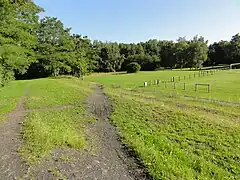 Le terril Pas de la Ville Est.