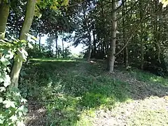 Le terril Pas de la Ville Ouest.