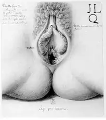 Âge pour concevoir (entre 1779 et 1795), Paris, BnF.