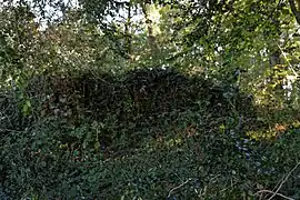 Vestiges de murs séparant les jardins.