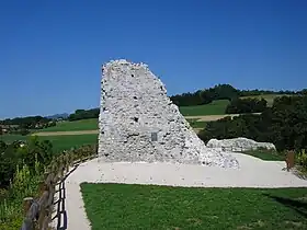 Image illustrative de l’article Château de Faucigny