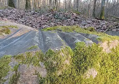 Alternance des stries à arête de fond et des zones de polissage