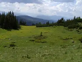 Image illustrative de l’article Ljubišnja