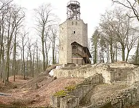 Image illustrative de l’article Château de Lichtenberg (Allemagne)