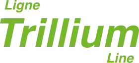 Voir l'illustration.