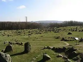 Image illustrative de l’article Lindholm Høje