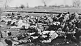 Cadavres de victimes de déportation sur le chemin menant au camp d'extermination de Kulmhof (Chelmno), 5-12 septembre 1942