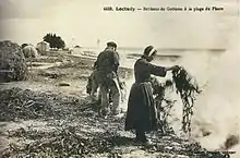 Brûlage de goémon (Loctudy)