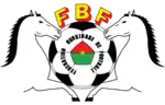 Image illustrative de l’article Fédération burkinabè de football