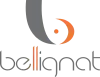 Bellignat