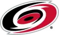 Logo des Hurricanes depuis 1999