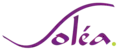 Logo de Soléa de Octobre 2002 à 2006.