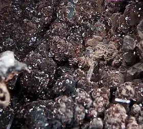 Lotharmeyerite Mexique. Taille des cristaux : 0,3 mm.