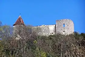 Le château du Cros (mars 2012)