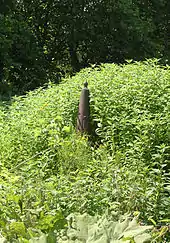 Trois frontières : Belgique-France-Luxembourg(borne no  1 en fonte)