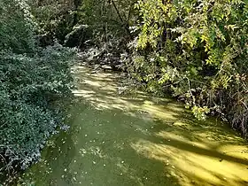 Le Mès dans le quartier de Bouzaire