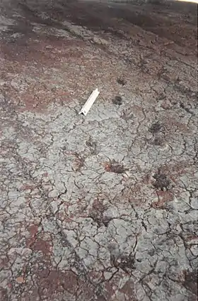 Image illustrative de l’article Site paléontologique de La Lieude